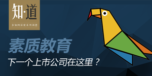 素質(zhì)教育：下一個上市公司在這里？